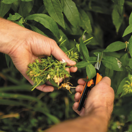 Foarfeca pentru flori Fiskars Solid MicroTip SP13, 140 mm, 40 g [6]