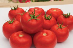 Seminte de tomate semideterminate Gravitet F1, 500 sem [4]