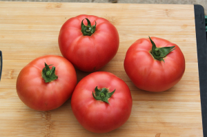 Seminte de tomate nedeterminate, tip beef, Manekro F1, 500 sem [0]