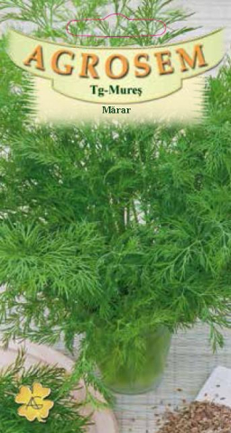 Seminte de mărar - Marar, Agrosem