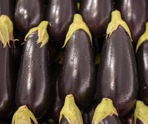 Minerva F1, seminte de vinete, Hektar [4]