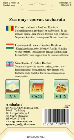 Porumb zaharat Golden Bantam [1]