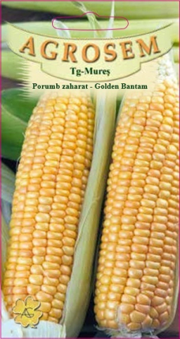 Seminte de Legume - Porumb zaharat Golden Bantam