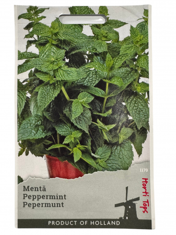 Seminte de Legume - Seminte de menta, Holland Farming
