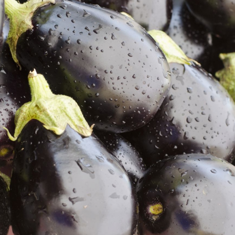 Vinete Mercury F1 [2]