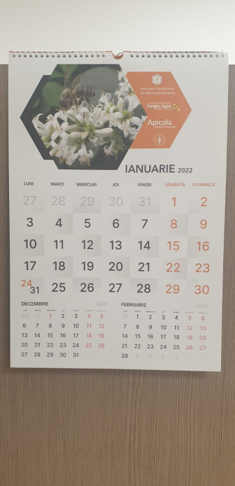 calendar-apicol-perete-a3-aca.jpg [3]