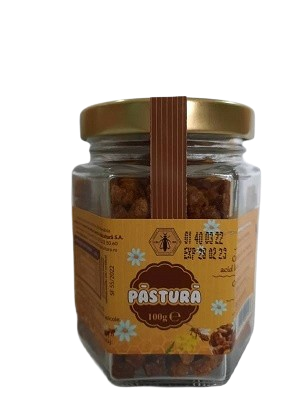 Suplimente alimentare - PASTURA I.C.D.A 100GR