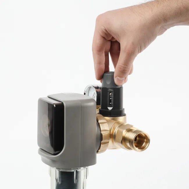 Filtru automat de sedimente cu spălare automată Ecosoft AR 1" – protecție eficientă pentru întreaga instalație [10]