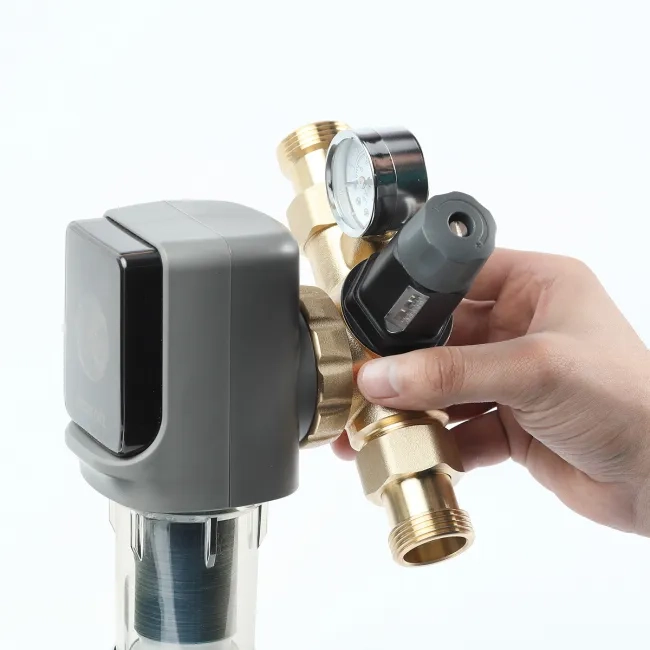 Filtru automat de sedimente cu spălare automată Ecosoft AR 1" – protecție eficientă pentru întreaga instalație [11]