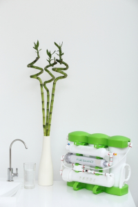 Purificator cu osmoza inversa Ecosoft P'URE Balance [12]