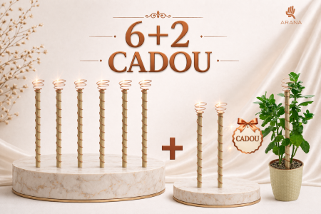 Design interior - Set Cadou Tijă cu Spirală din Cupru Arana 6+2 CADOU