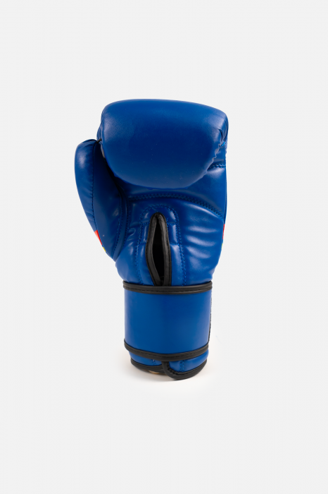 Manusi de box ARMURA Honor et Patria 2.0 [3]