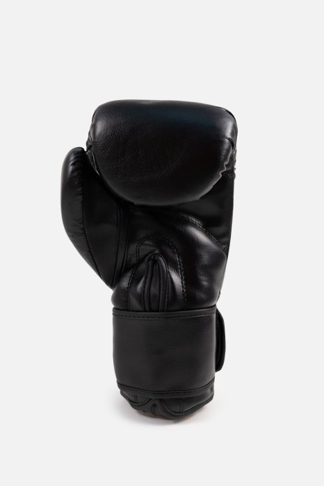 Manusi de box ARMURA Inceptos 2.0 Junior [3]