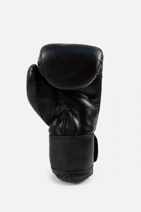 Manusi de box ARMURA Inceptos 2.0 Junior [3]
