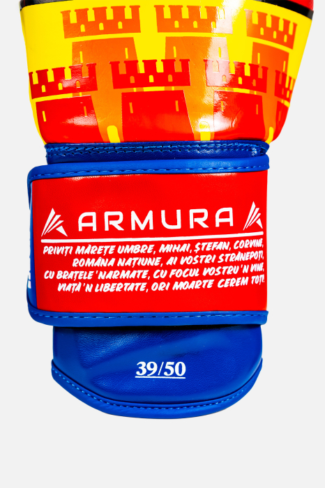 Manusi de Box ARMURA Regio Transilvania Galben/Albastru Editie Limitata [5]