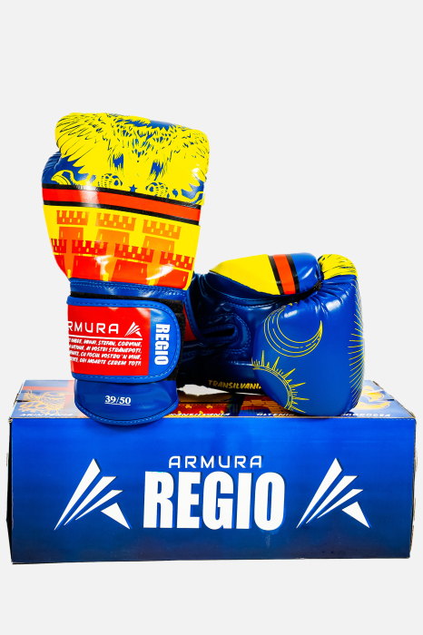 Manusi de Box ARMURA Regio Transilvania Galben/Albastru Editie Limitata [2]
