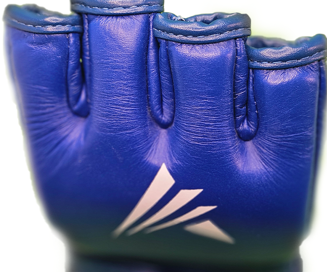 Manusi MMA ARMURA Fanaticus 4.0 Albastre [2]