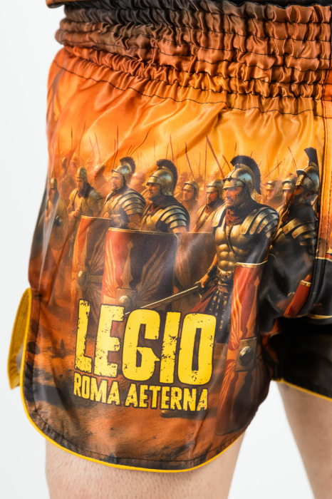 Short ARMURA Legio Kickboxing [3]