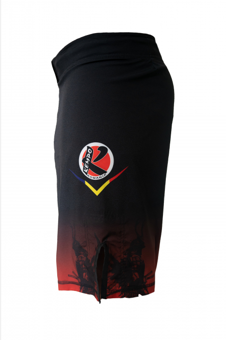 Short MMA ARMURA Kempo  [3]