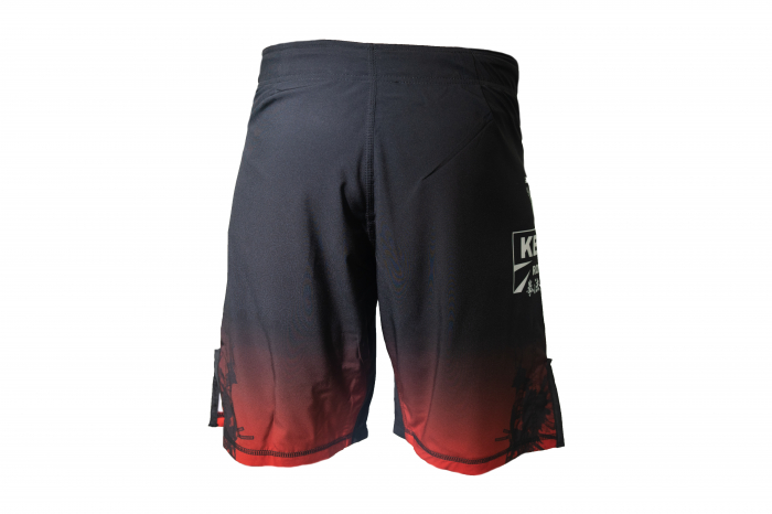 Short MMA ARMURA Kempo  [2]
