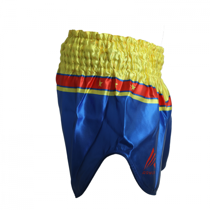 Short kickboxing ARMURA Honor et Patria 2.0 [5]