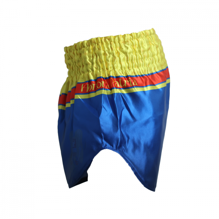 Short kickboxing ARMURA Honor et Patria 2.0 [4]