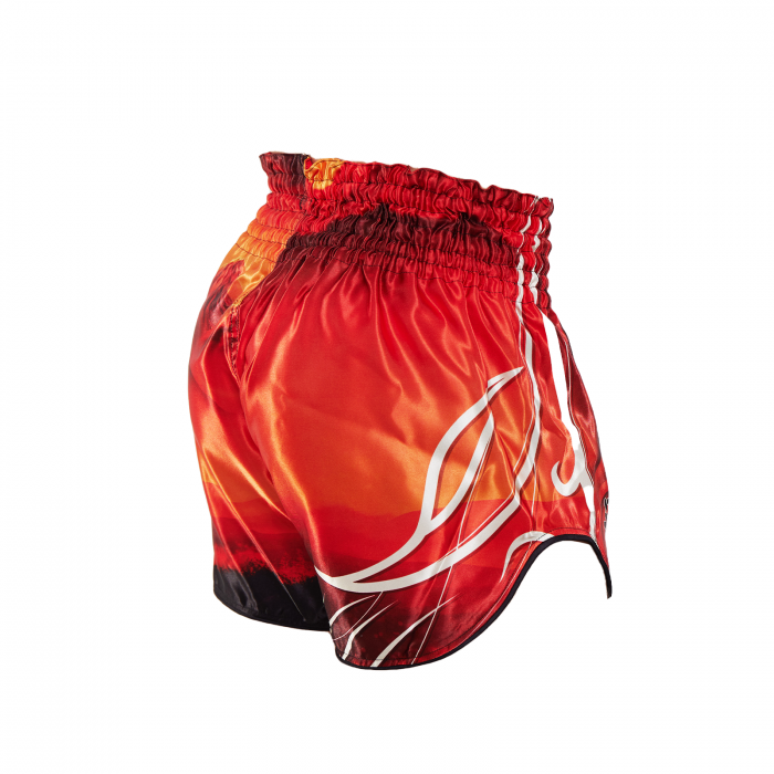 Short kickboxing ARMURA Bushido 3.0 [4]