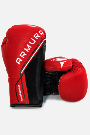 Mănuşi de Box - Manusi de Box ARMURA Flame