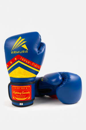 Mănuşi de Box - Manusi de box ARMURA Honor et Patria 2.0