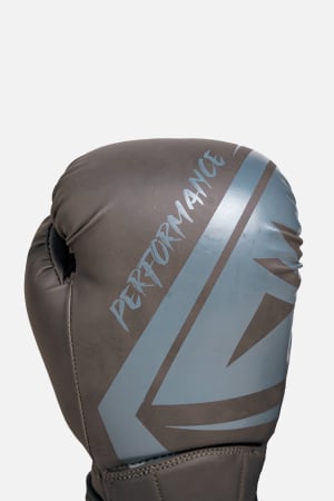 Manusi de Box ARMURA Performance Gri [1]