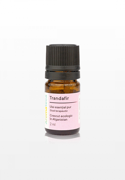 Aromateca Trandafir - 2 ml [1]