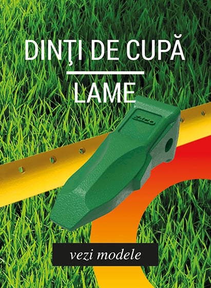 dinti de cupa