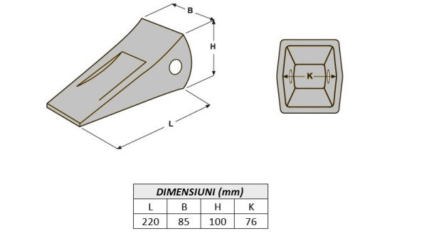 Dinte cupa 2057019570-ITR [4]
