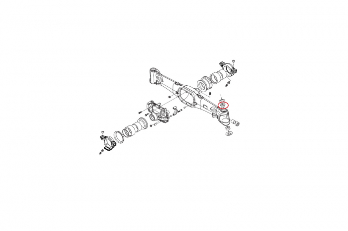 Bush 045167-CARRARO [2]