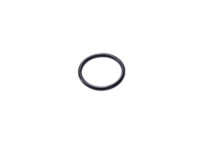 O-ring 028131-CARRARO [1]