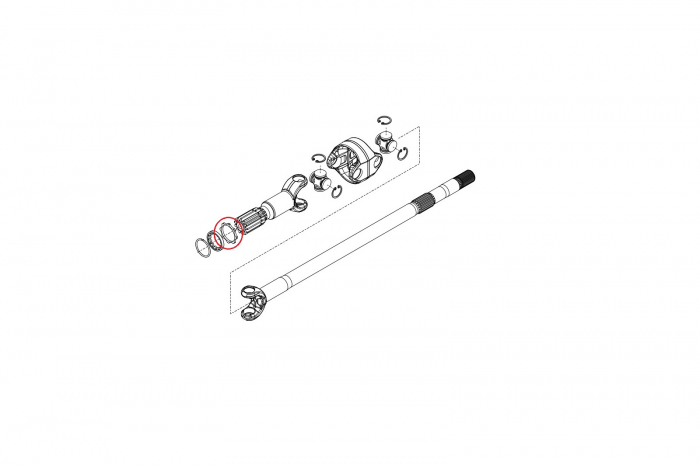 Saiba 145553-CARRARO [2]