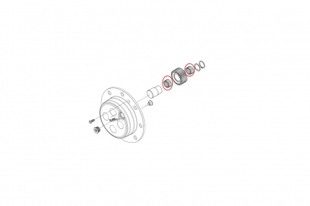 Needle bearing for New Holland backhoe loader-CARRARO [1]