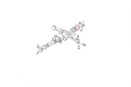 Bucsa 101575-CARRARO [1]