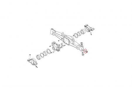 Bush 118504-CARRARO [1]