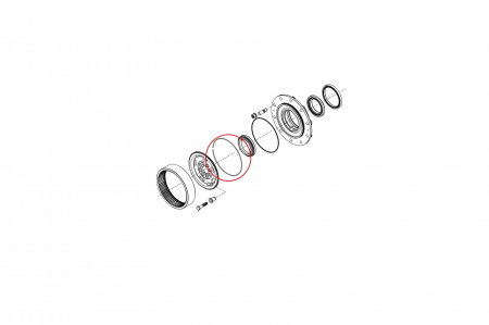 Lock ring 125233-CARRARO [1]