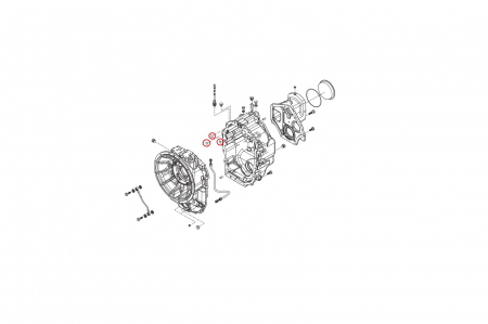 O-ring 028560-CARRARO [1]