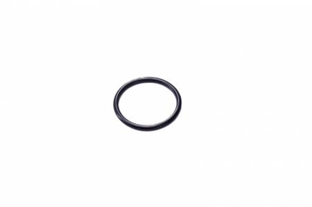 O-ring 139231-CARRARO [0]