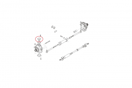 King pin 143239-CARRARO [1]