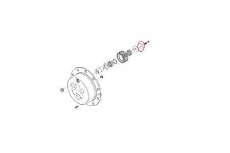 Saiba 138691-CARRARO [1]