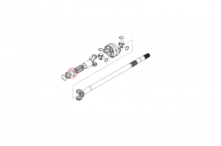 Saiba 145553-CARRARO [1]