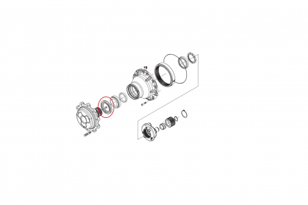 Seal ring 149703-CARRARO [1]