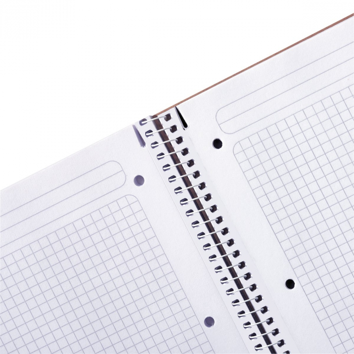 Caiet A5, 40 file, spirala, patratele, motiv Pure Glam, Herlitz [2]