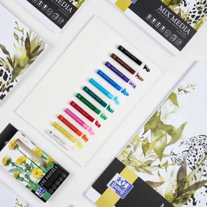 Creioane cerate Oxford Oil Pastels, set 12 culori, colectia Artistic [4]