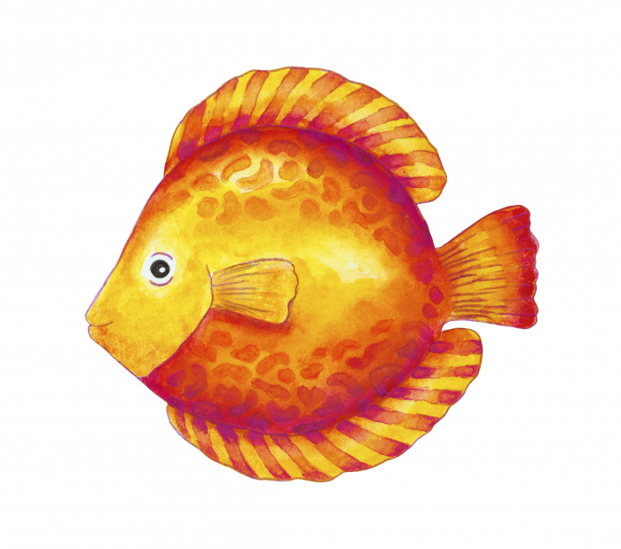 Creioane Colorate Acuarela 24 Buc si Pensula Faber-Castell [5]
