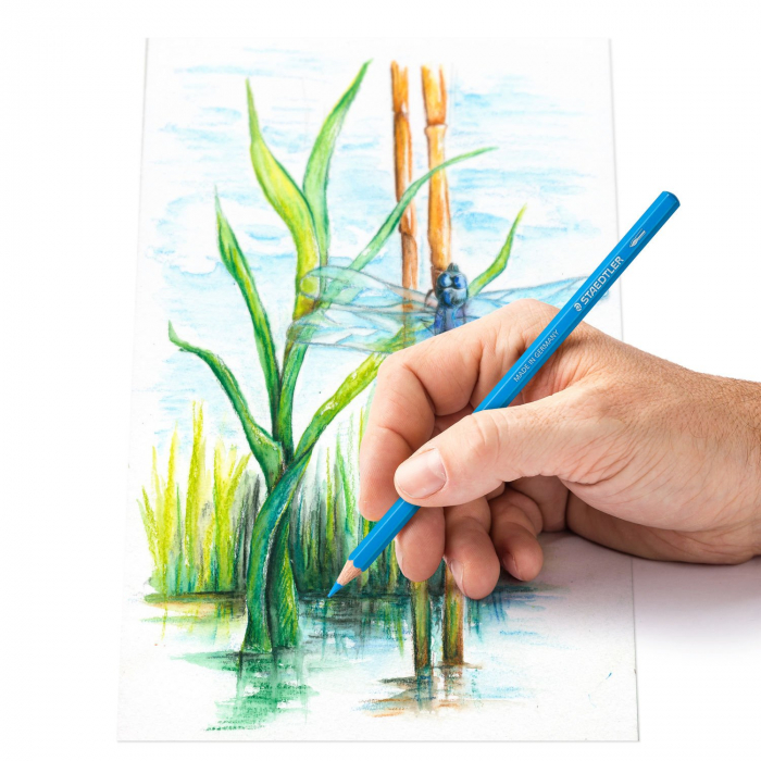 CREIOANE COLORATE AQUARELLE 12 CULORI CUTIE METAL STAEDTLER [3]